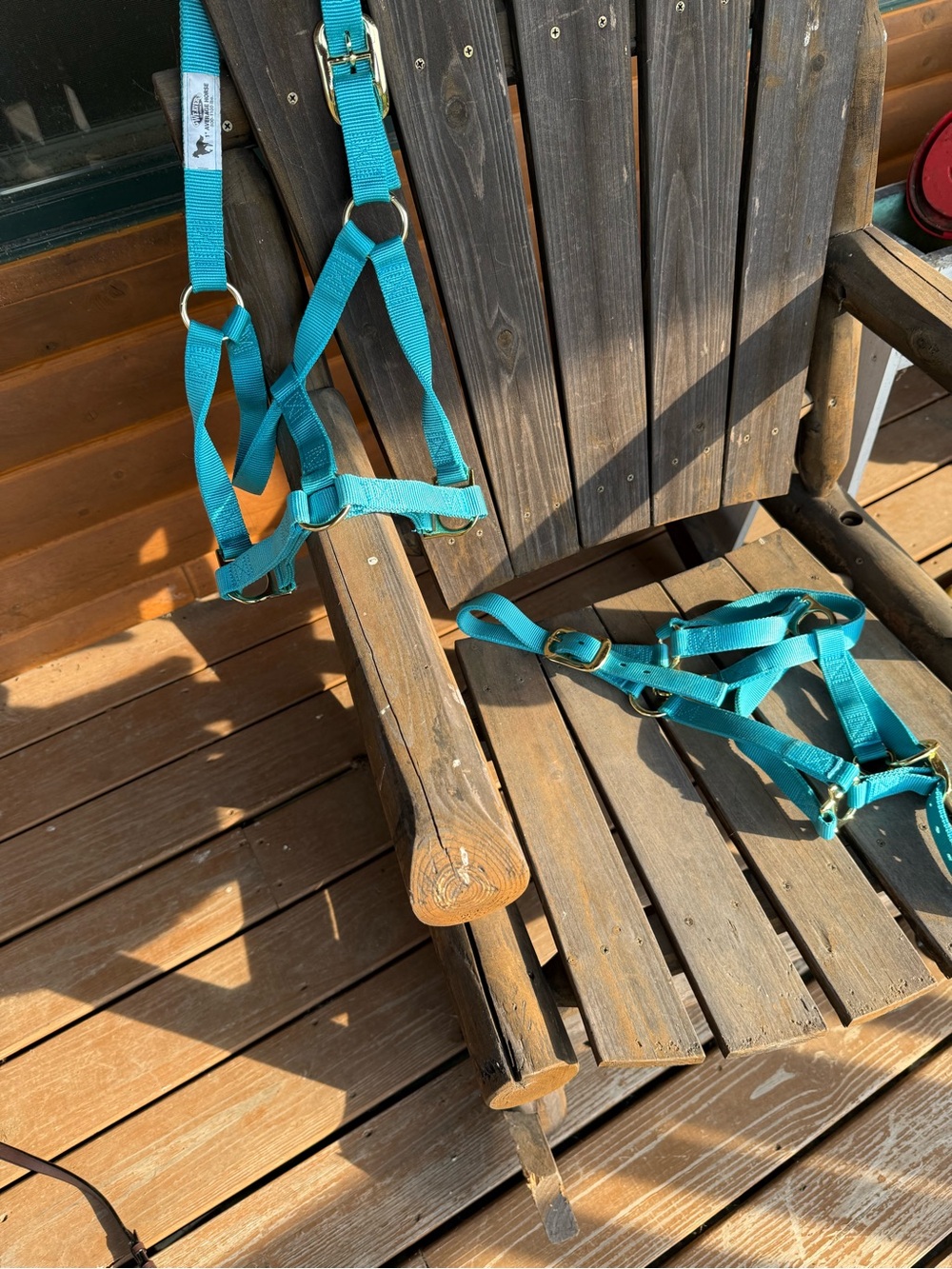 Horse halters
